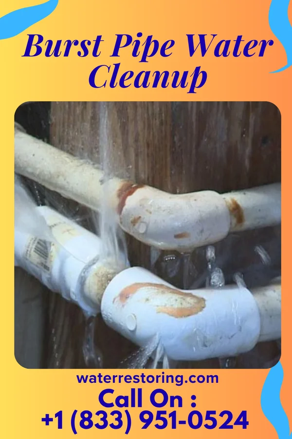 Burst Pipe Water Cleanup in Union, OH