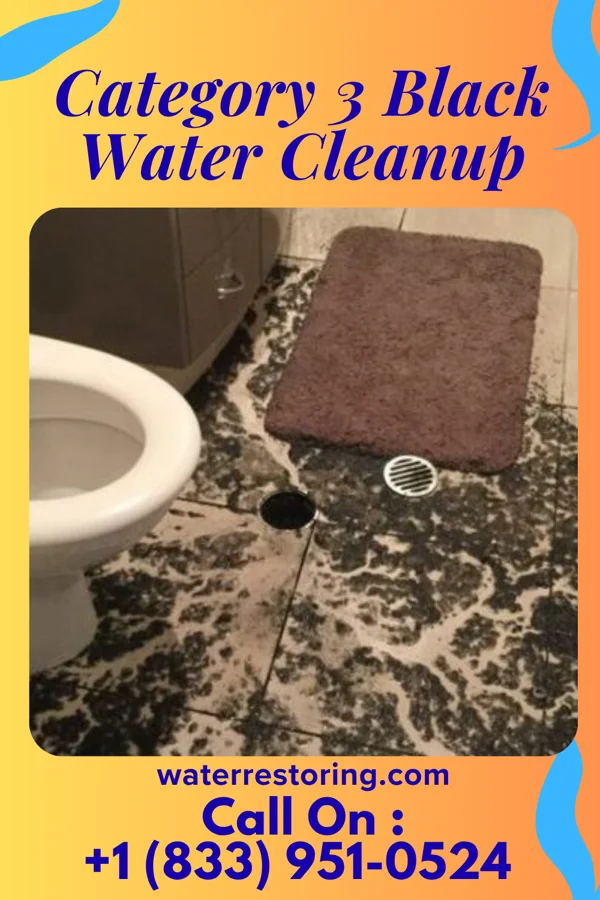 Category 3 Black Water Cleanup in Union, OH
